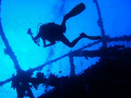 one of my diveing pals hovering over wreck southern red s... by Matt Andrew 