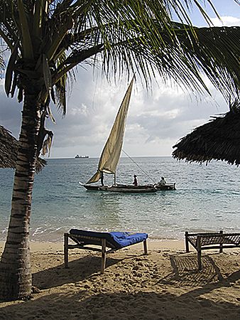 lazy days on the beach. Zanzibar, Tanzania. by Chris Wildblood 