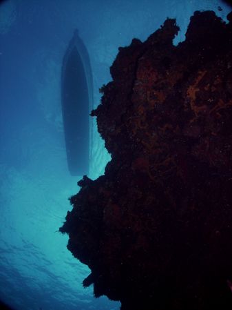 This image was taken at 106' below yesterday in Cozumel.T... by Steven Anderson 