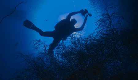 Truk Lagoon Diver, Natural Light by William Sturgeon 