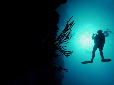 Diver off the wall of Palancar. The image was taken in Co... by Steven Anderson 