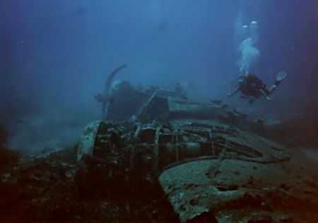 Diver over the wreck of a Blenheim Bomber in 42mtr. Taken... by Ian Palmer 