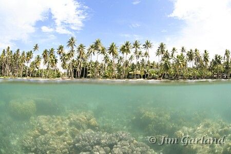 Truk Lagoon. by Jim Garland 