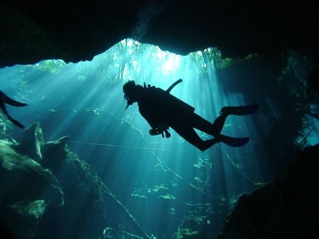 The sun shines on a diver, from the green jungle above, a... by Kenn Bolbjerg 