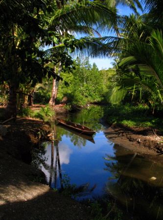 "The driveway" - Tidal creek behind a mangrove stand feed... by Christine Huffard 
