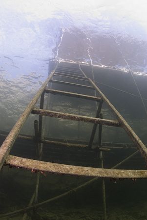Ladder. Stoney cove.
D200, 16mm. by Derek Haslam 