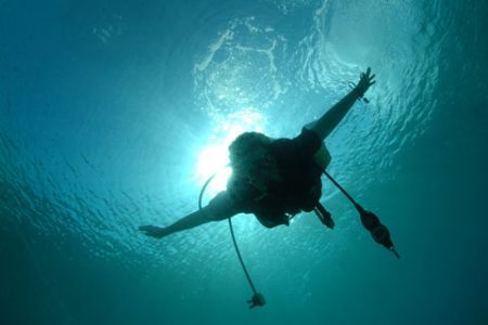 Diver, Grand Cayman. by David Heidemann 