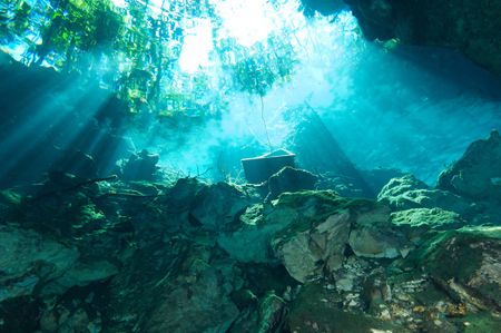 Choc-Mool Cenote near Playa Del Carmen, Mexico. Nikon D2x... by Dale Hymes 
