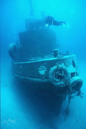Rozi wreck and diver
nik v with 15mm lens by Mike Clark 