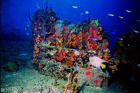 Wreck of the Major General Rogers, St. John, USVI. Beauti... by Mike Smith 