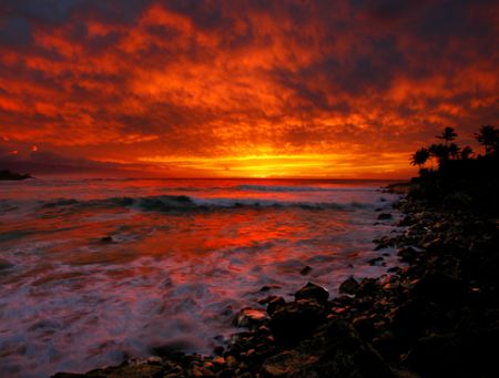 "Waimea Sunset". Photo taken on Oahu's North Shore. by Mathew Cook 