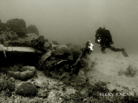 My buddy swims around an upsidown zero from WWII in 30ft ... by Becky Kagan 