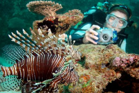 Photo of my lovely wife photographing a pair of Lionfish.... by Stuart Ganz 