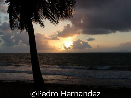 Sunrise in Palmas Del Mar and the Island Of Vieques at th... by Pedro Hernandez 