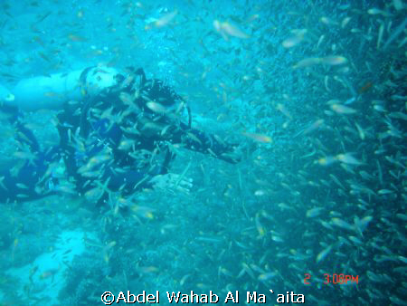 THIS photo taken in the sit of GOROGO 1 In gulf of aqaba by Abdel Wahab Al Ma`aita 