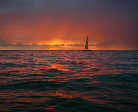 "Sail the Sunset". I paddled out on my surfboard to get a... by Mathew Cook 