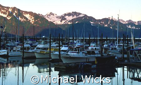 Harbor in Alaska by Michael Wicks 