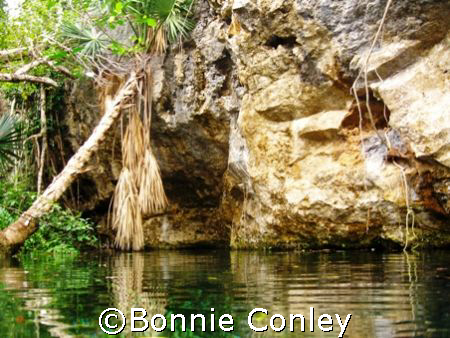 Chac Mool Cenote at Riviera Maya by Bonnie Conley 