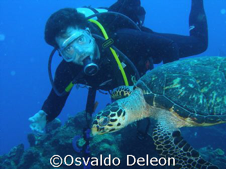 My friend Jaime and the turtle at Statia.  Saludos Jaime by Osvaldo Deleon 