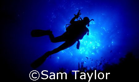 Diver OK, Natural light, Nikonos 5 & 28mm lens by Sam Taylor 