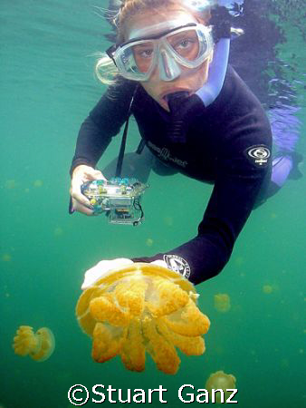 Jelly fish lake...Palau, best snorkel dive ever.

 by Stuart Ganz 