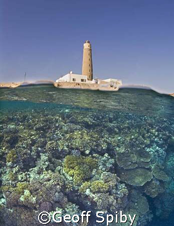 taken a few weeks ago at Big Brother Island in the Red Sea by Geoff Spiby 