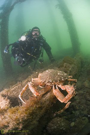 Mark with one of our mates. Trefor pier. D200, 10.5mm. by Derek Haslam 