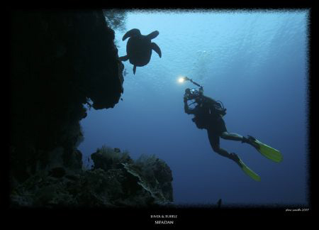 diver and turtle by Stewart Smith 