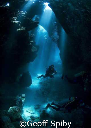 taken in the caves at Samadai reef, southern Egypt by Geoff Spiby 