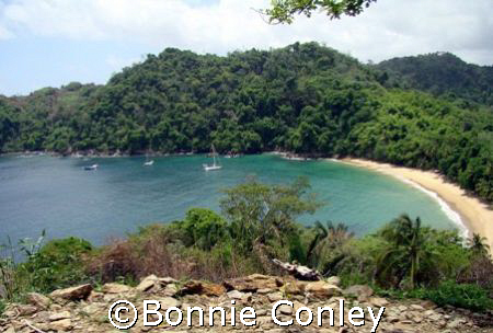 This shot was taken in Tobago on June 24, 2007 with a Son... by Bonnie Conley 