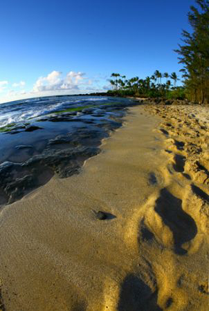 "Footprints and Blue Skies". Photo taken at Lanikai Beach... by Mathew Cook 