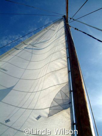 Sailing away......... by Linda Wilson 