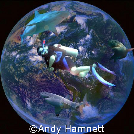 My dream of diving the globe and seeing sharks.  by Andy Hamnett 