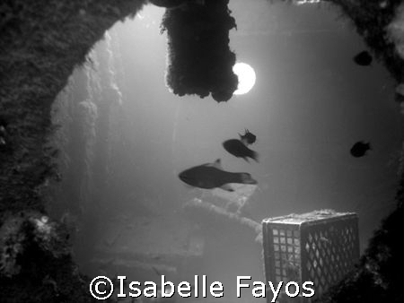 Ocean Diver. Wreck in Menorca by Isabelle Fayos 