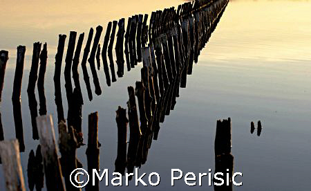 Reflections by Marko Perisic 