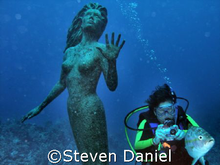 The Mermaid, Amphitrite and Diver at Sunset House Grand C... by Steven Daniel 