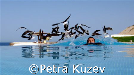 Getting swamped by the birds....
In the infinity swimmin... by Petra Kuzev 