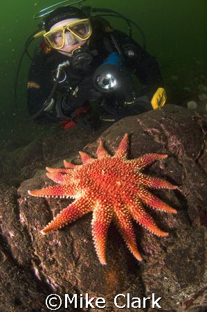 Diver viewing vibrant sunstar. nikon d70 with 10.5mm lens... by Mike Clark 