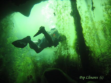 End of Exploration in Cenote Wild Water by Pep Llinares 