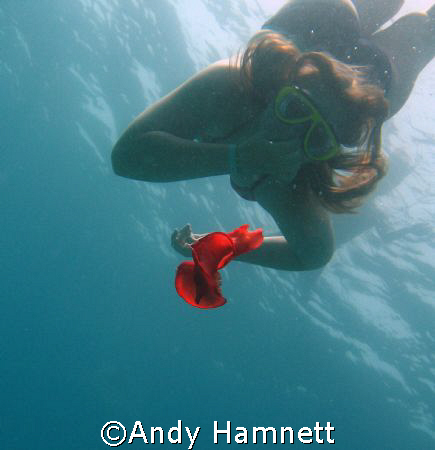 A friends daughter checking out a Spanish Dancer. by Andy Hamnett 