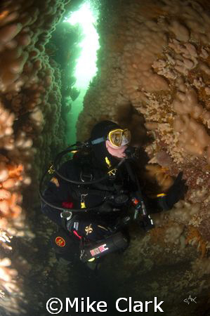 Diver In Coral Gully, St. Abbs, Scotland.
Nikon D70, 10.... by Mike Clark 