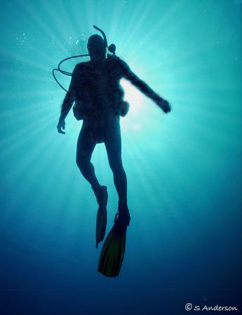 My dive buddy, Doug, ascending after a beautiful dive in ... by Steven Anderson 