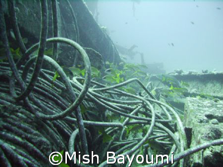 Aptly named Cable Wreck. Off Jeddah, taken with a sealife... by Mish Bayoumi 