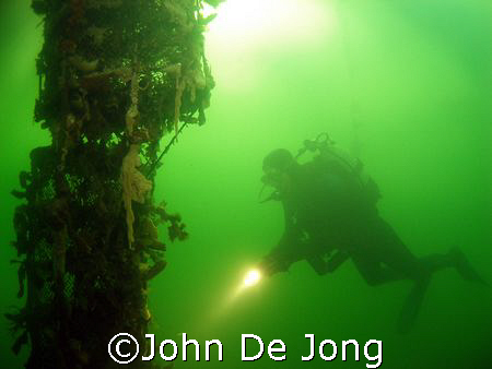 The green colour is tipical for the  Dutch waters. My bud... by John De Jong 