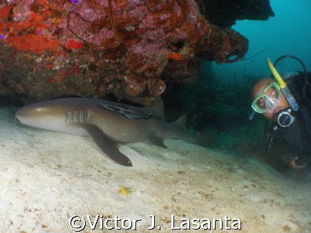 rodney and he new friend in the super bowl dive site in p... by Victor J. Lasanta 