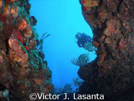 inside the trench in los arcos dive site in parguera area... by Victor J. Lasanta 