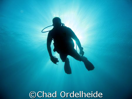 Eric Fly floats in the solar flare!
Dive: Ice Cream, Saipan by Chad Ordelheide 