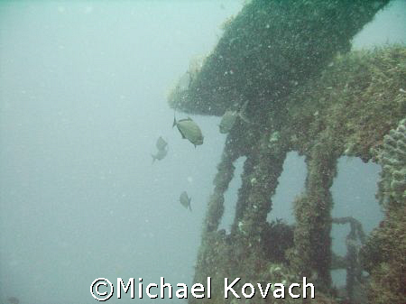The pilot house on the Ken Vitale, sunk as part of the ar... by Michael Kovach 