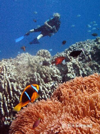 Hap's Reef, Guam... This photo was taken using available ... by Bill Stewart 