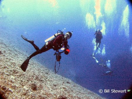 This was shot on 11 December 2007, at a divesite known as... by Bill Stewart 